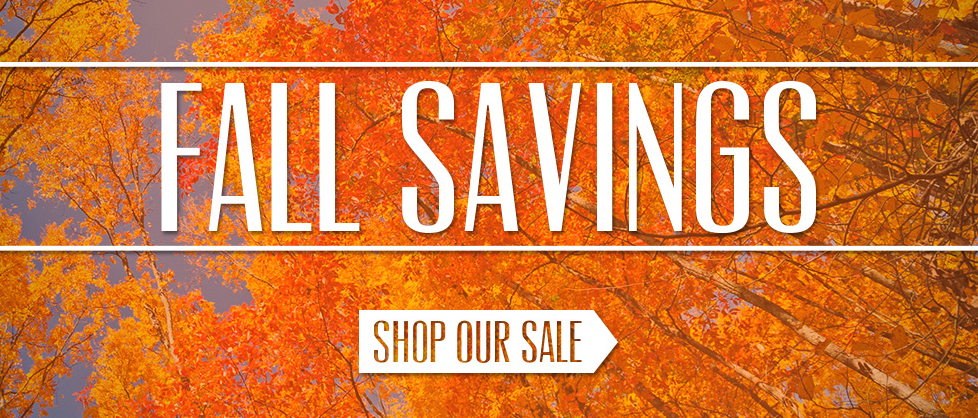 Fall Savings Sale | Rugby Ninja
